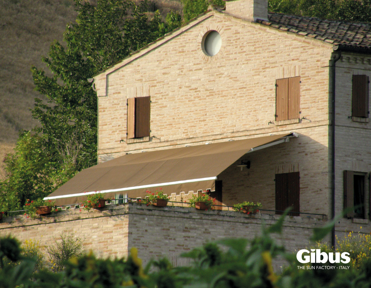 foto_gibus_marcesa_1